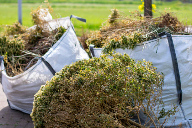Best Attic Cleanout  in Aurora, IN